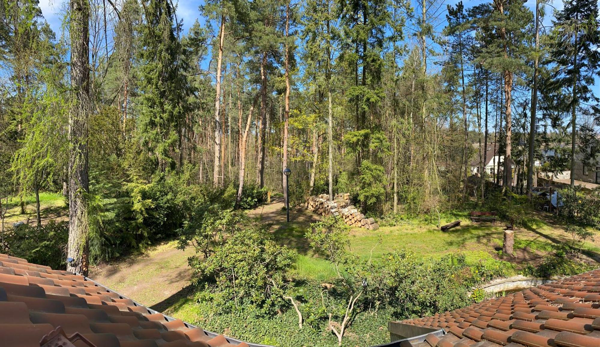 Waldhaus Eichhoernchen Бад Шмидеберг Екстериор снимка