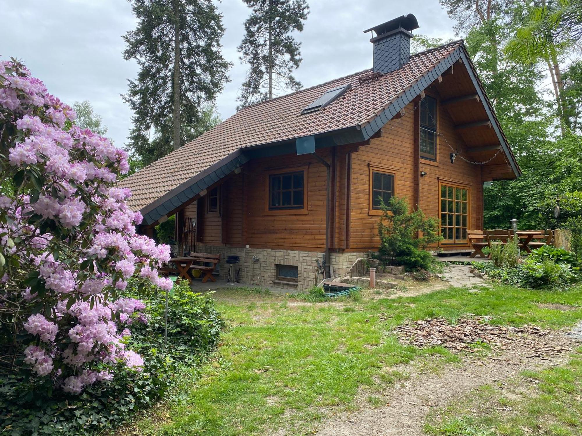 Waldhaus Eichhoernchen Бад Шмидеберг Екстериор снимка